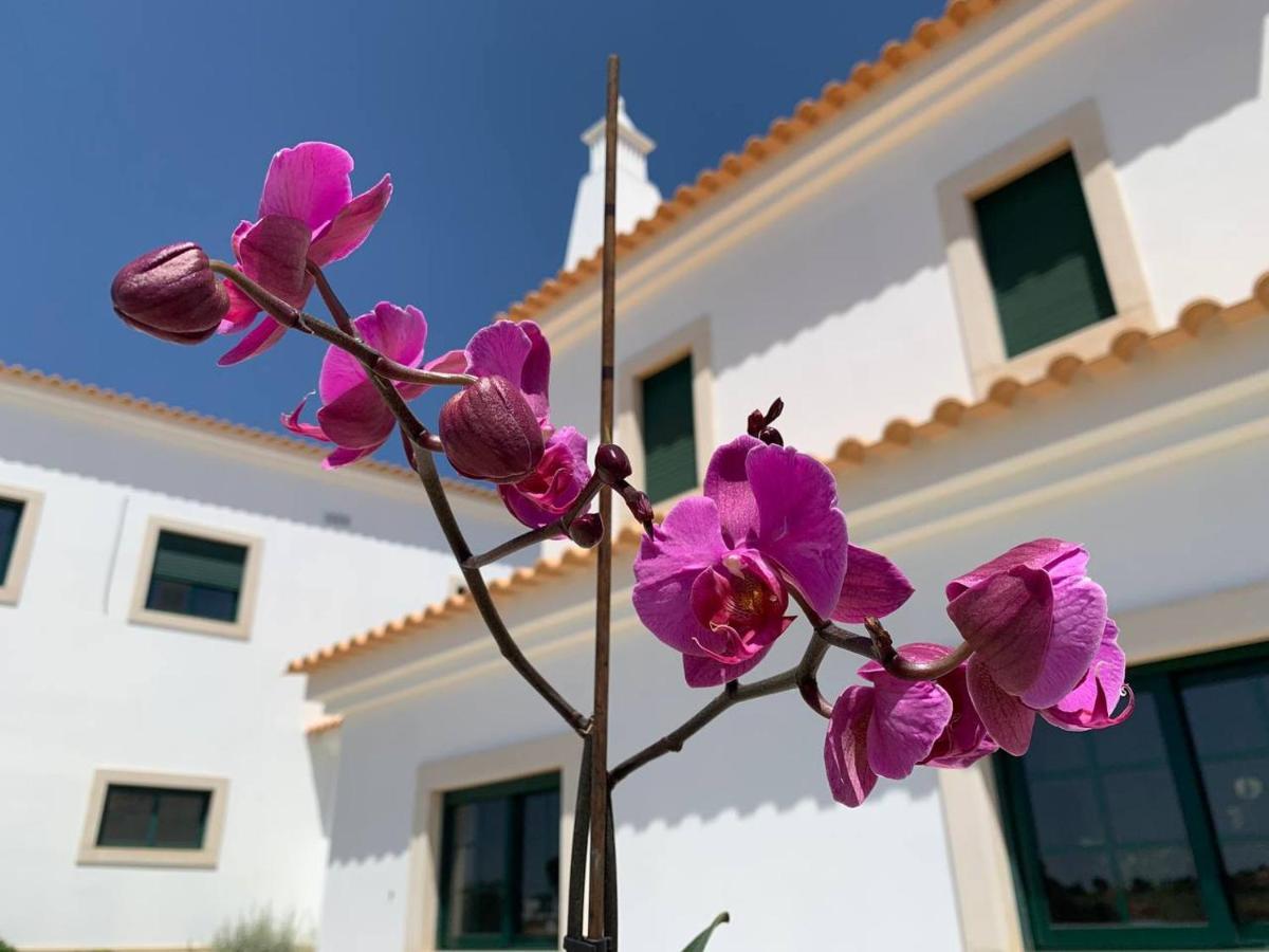 Casa Mineira Guest House 费雷拉斯 外观 照片